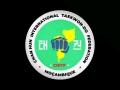 CHITF-Mozambique-Logo